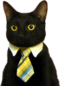 businesscat