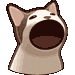 bob_cat