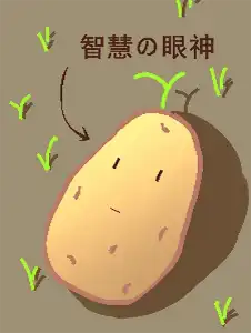 The Hero Turned Into A Potato And The World Fell To Ruin